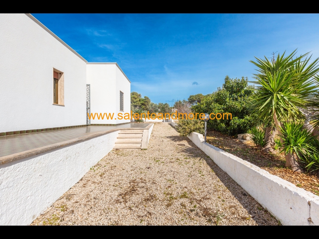 2024_03_01-salento_and_more@@008