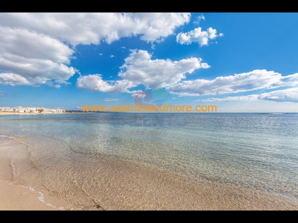 2025_02_21-salento_and_more@024