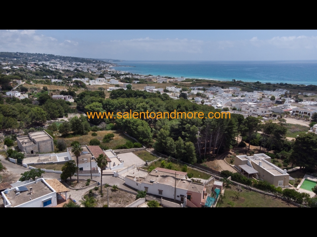 DJI_0056