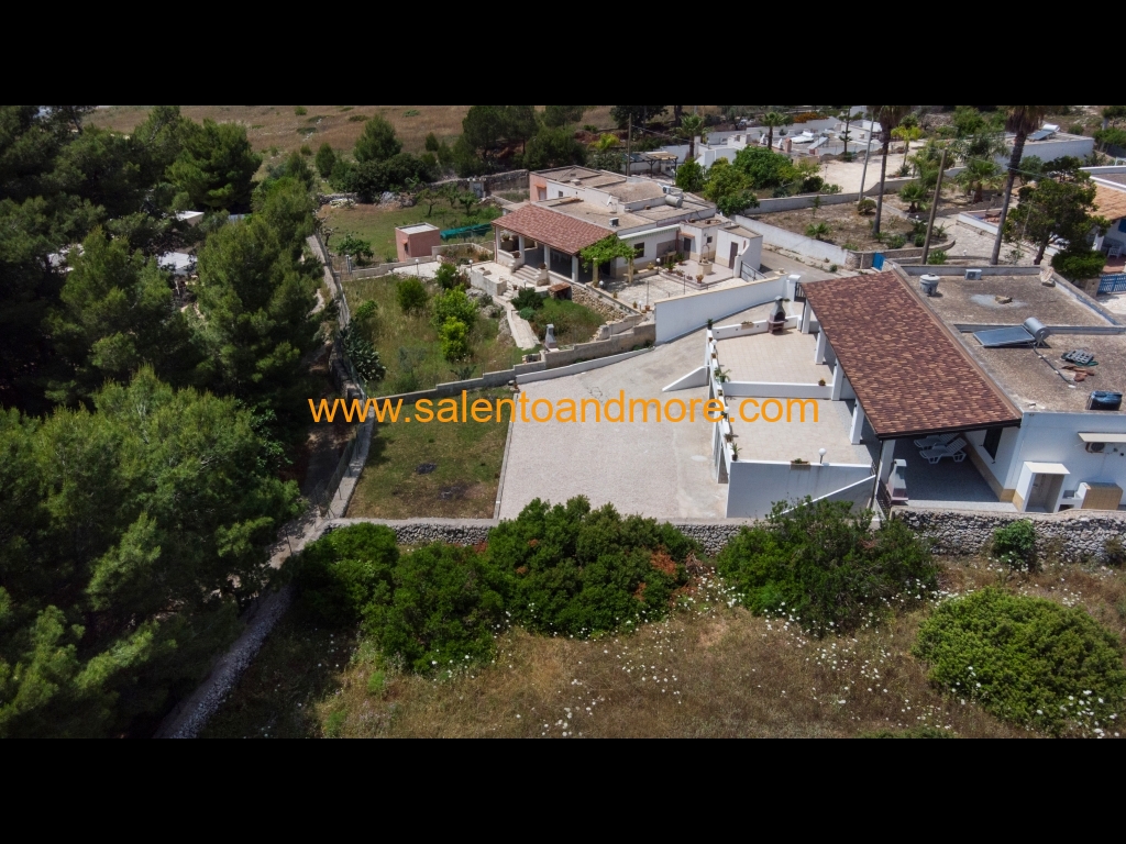 DJI_0060