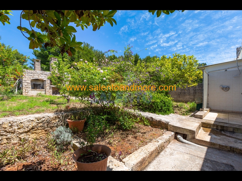 2025_06_05-salento_and_more_master@005