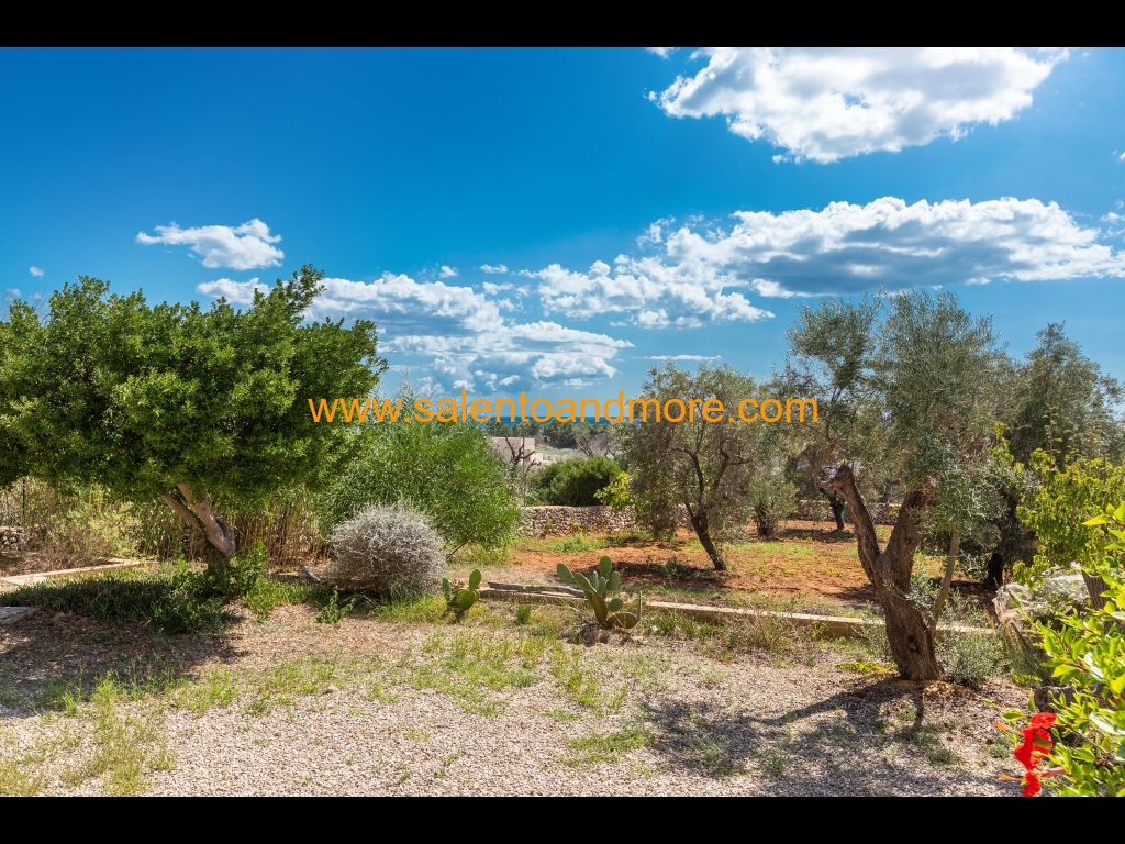 2022_09_12-salento_and_more@@000012